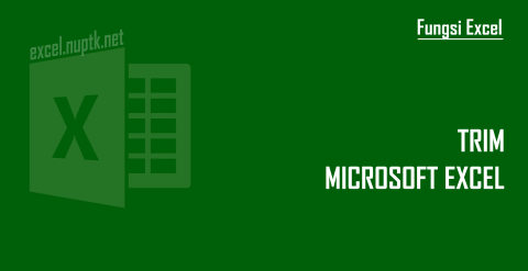 Fungsi Excel TRIM