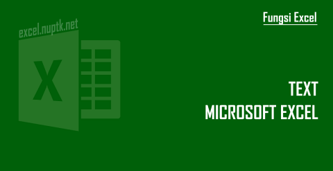 Fungsi Excel TEXT